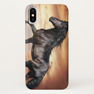 Beautiful Black Horse iPhone X Case
