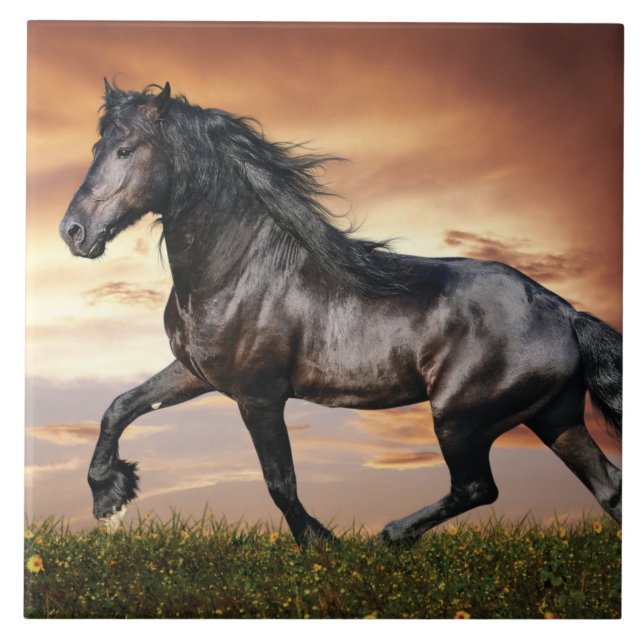 Beautiful Black Horse Ceramic Tile (Front)