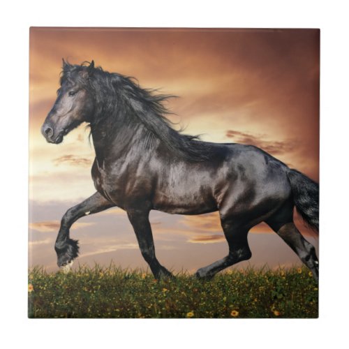 Beautiful Black Horse Ceramic Tile