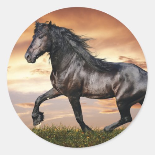 Beautiful Black Horse Classic Round Sticker