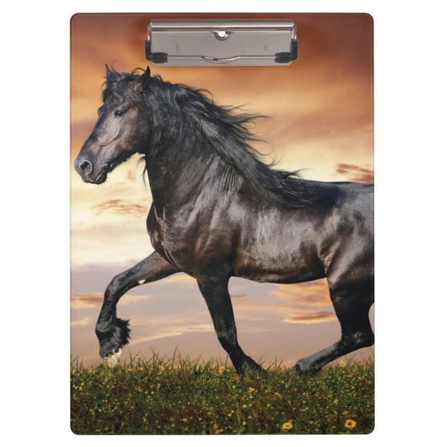 Beautiful Black Horse Clipboard (Front)