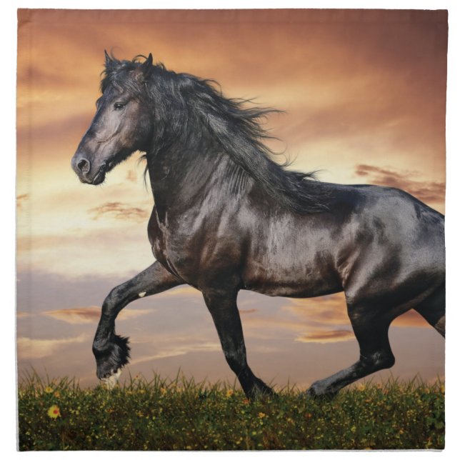 Beautiful Black Horse Cloth Napkin (Front)