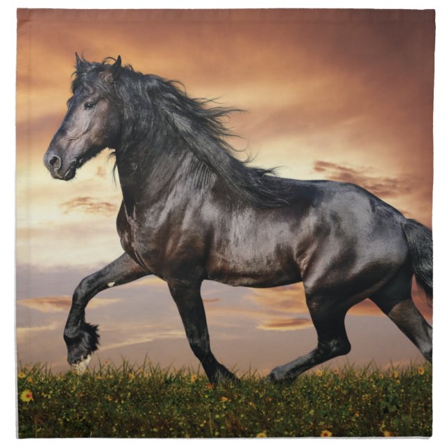 Beautiful Black Horse Cloth Napkin (Front)