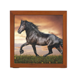Beautiful Black Horse Desk Organizer