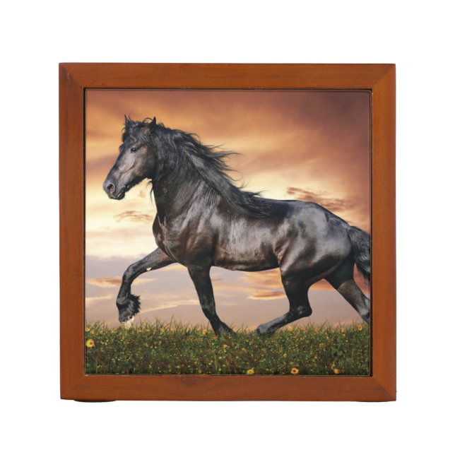 Beautiful Black Horse Desk Organizer (Front)