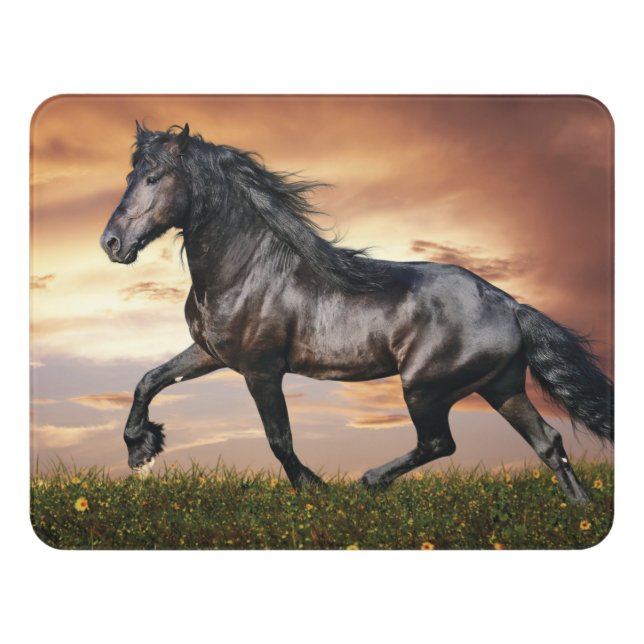 Beautiful Black Horse Door Sign (Contemporary Front)