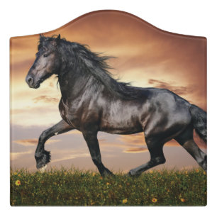 Beautiful Black Horse Door Sign