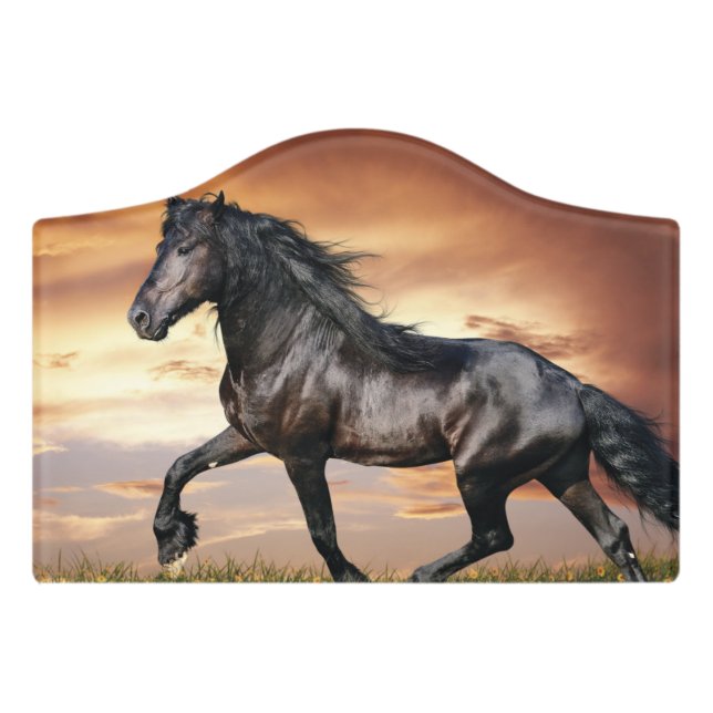 Beautiful Black Horse Door Sign (Small Crest Front)