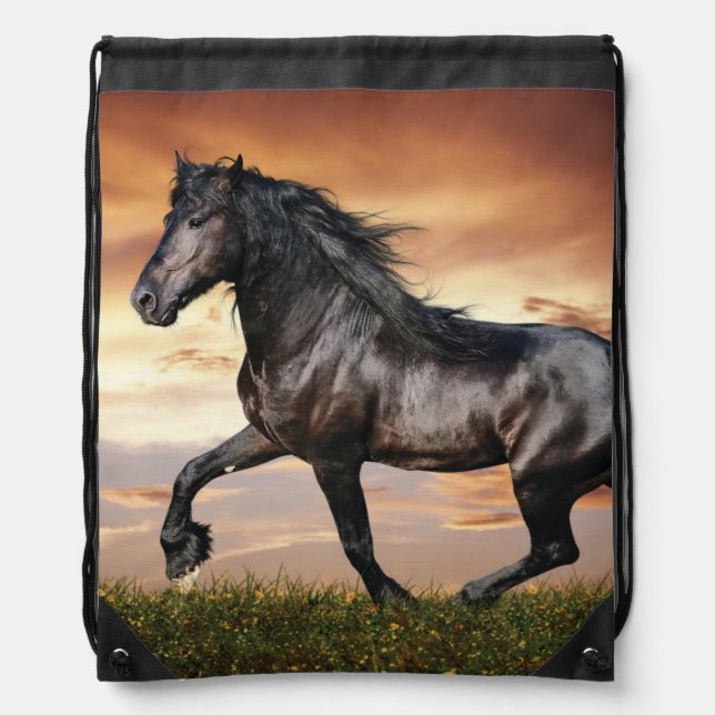 Beautiful Black Horse Drawstring Bag (Front)