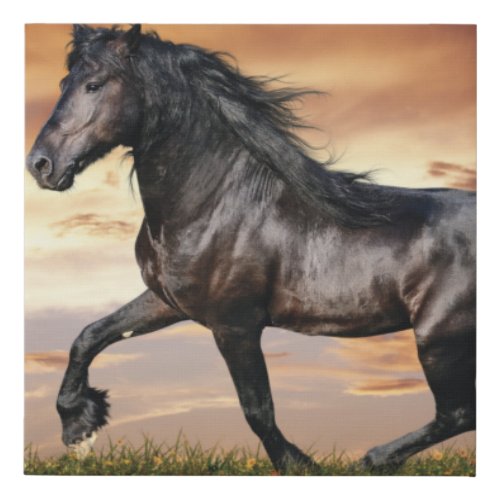 Beautiful Black Horse Faux Canvas Print