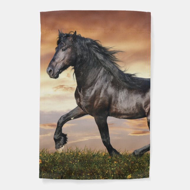 Beautiful Black Horse Garden Flag (Front)