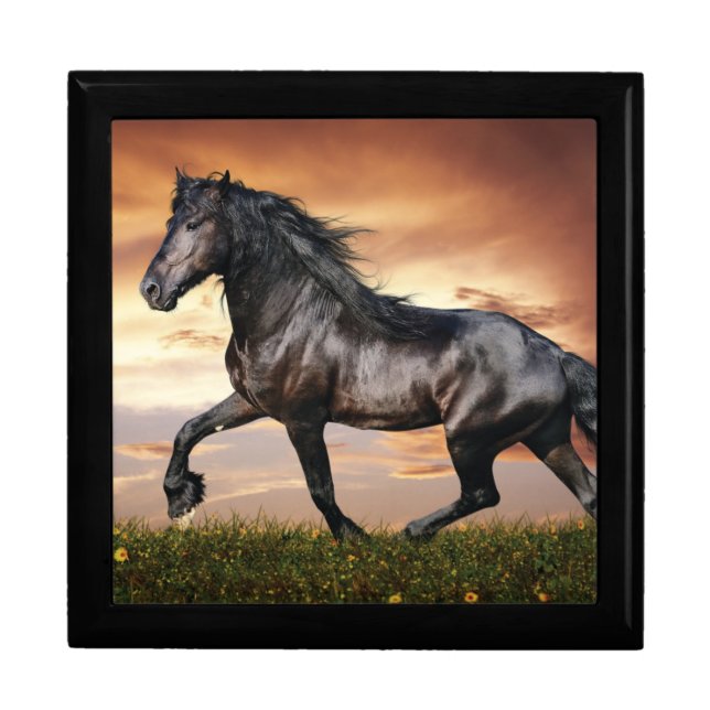 Beautiful Black Horse Gift Box (Front)