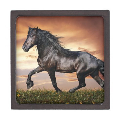Beautiful Black Horse Gift Box