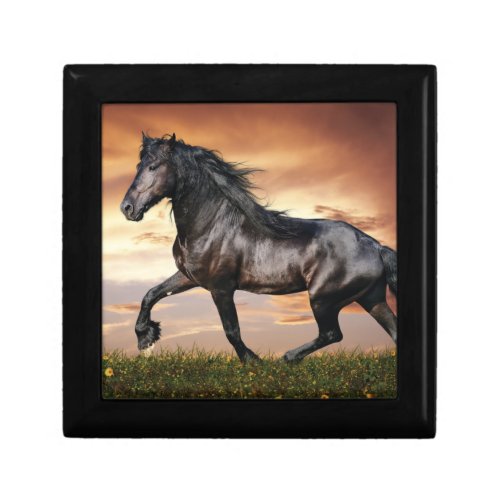 Beautiful Black Horse Gift Box
