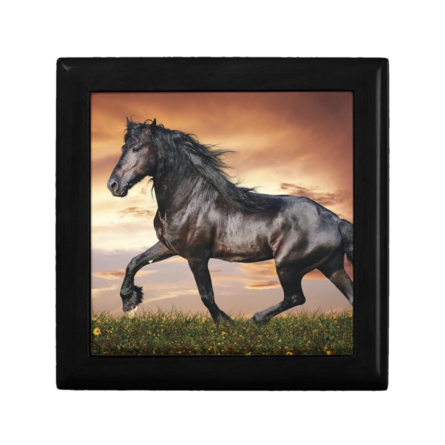 Beautiful Black Horse Gift Box (Front)