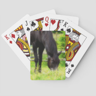 Beautiful Black Horse Grazing in Pasture Poker Cards