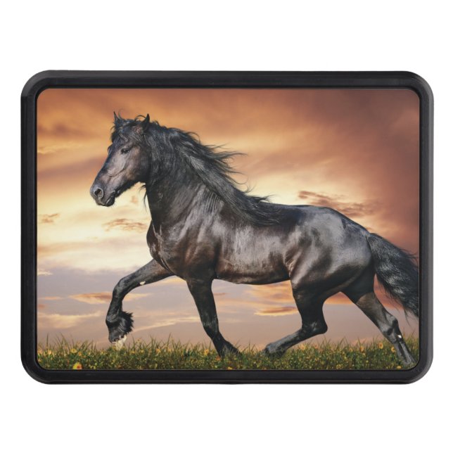 Beautiful Black Horse Hitch Cover (Front)