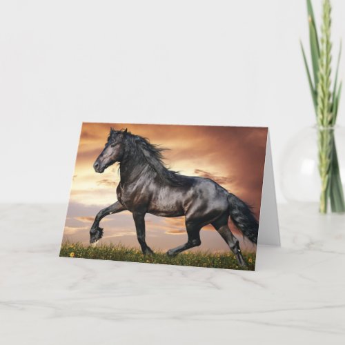 Beautiful Black Horse Holiday Card