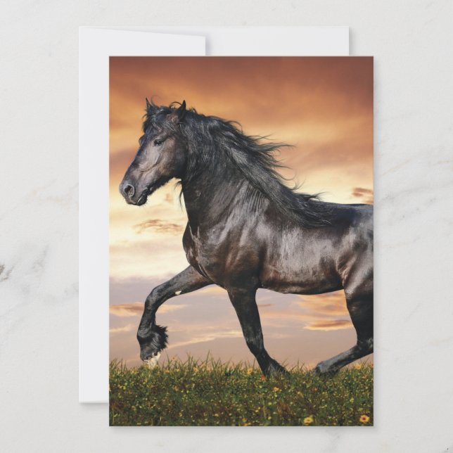Beautiful Black Horse Holiday Card (Front)