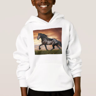 Beautiful Black Horse Hoodie