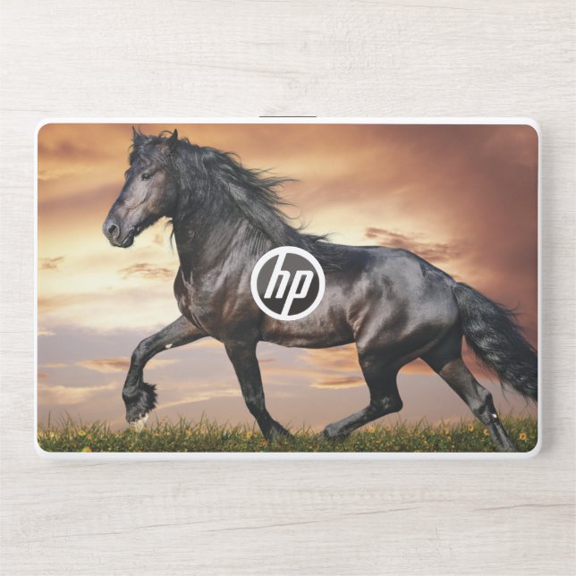 Beautiful Black Horse HP Laptop Skin (Front)