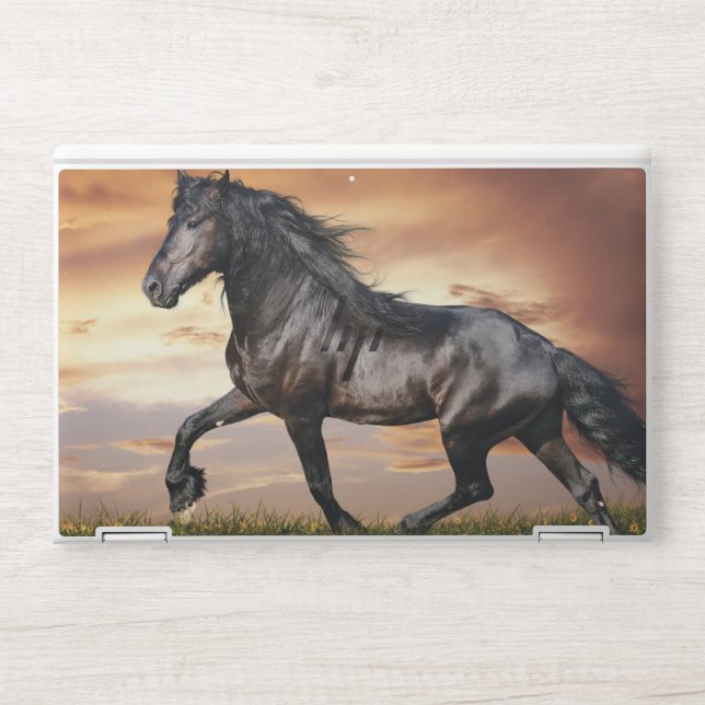Beautiful Black Horse HP Laptop Skin (Front)