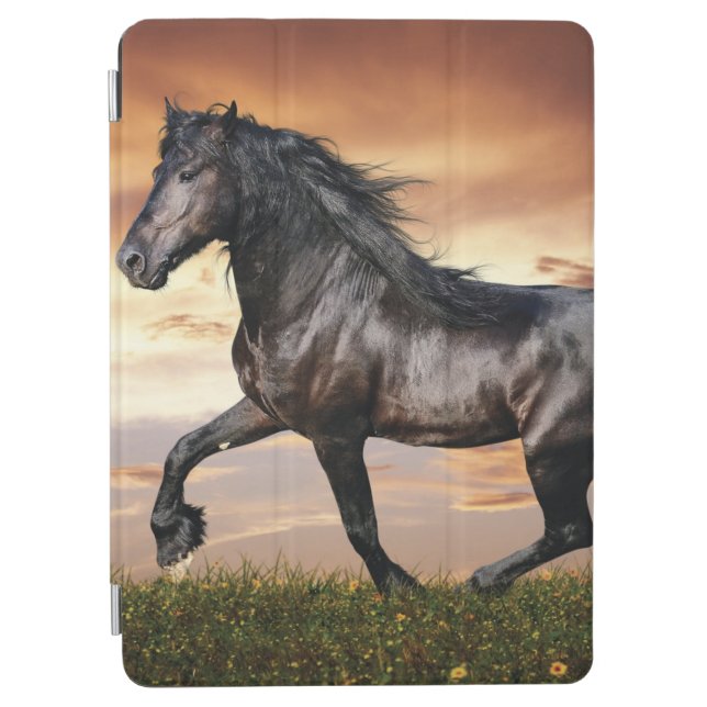 Beautiful Black Horse iPad Air Cover (Front)