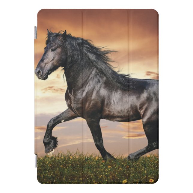 Beautiful Black Horse iPad Pro Cover (Front)