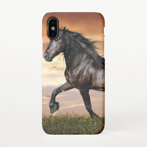 Beautiful Black Horse iPhone X Case