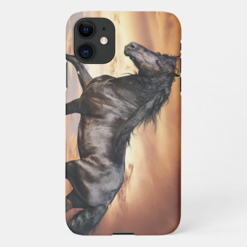 Beautiful Black Horse iPhone 11 Case