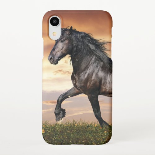 Beautiful Black Horse iPhone XR Case