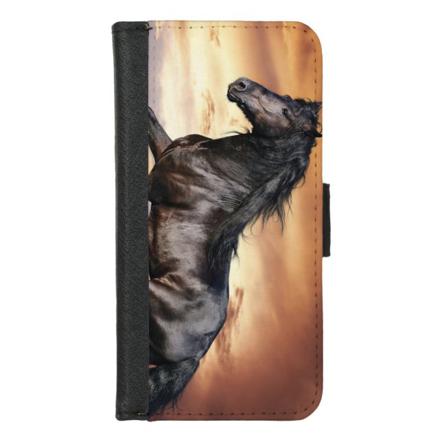 Beautiful Black Horse iPhone Wallet Case (Front)