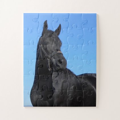 Beautiful Black Horse Jigsaw Puzzle