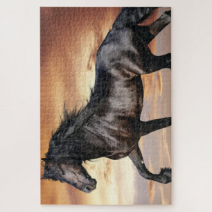 Beautiful Black Horse Jigsaw Puzzle