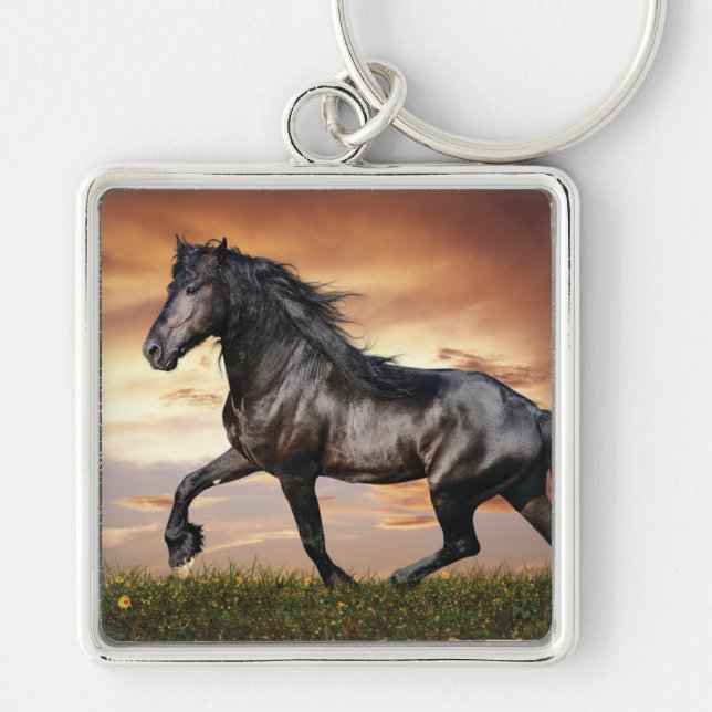 Beautiful Black Horse Keychain (Front)