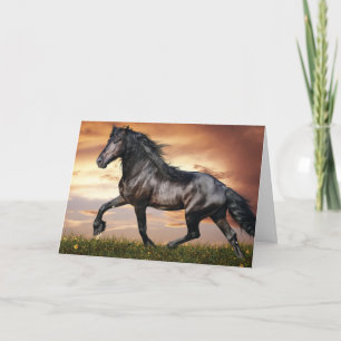 Beautiful Black Horse Letterpress Thank You Card