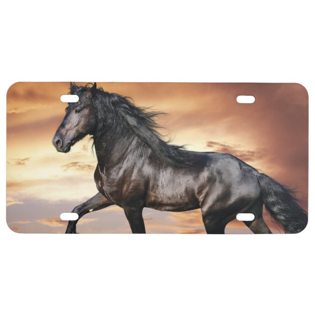 Beautiful Black Horse License Plate (Front)