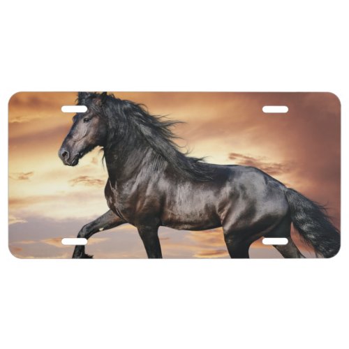 Beautiful Black Horse License Plate