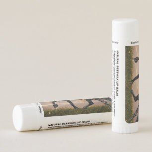 Beautiful Black Horse Lip Balm