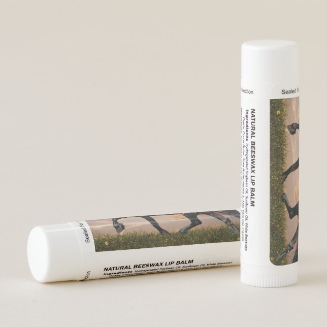 Beautiful Black Horse Lip Balm (Back)