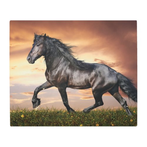 Beautiful Black Horse Metal Print