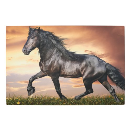 Beautiful Black Horse Metal Print