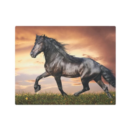 Beautiful Black Horse Metal Print