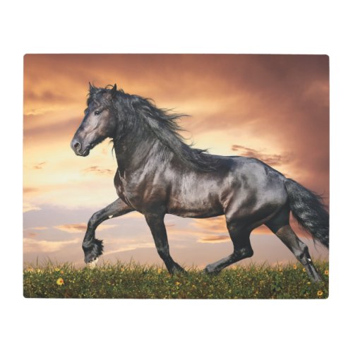 Beautiful Black Horse Metal Print