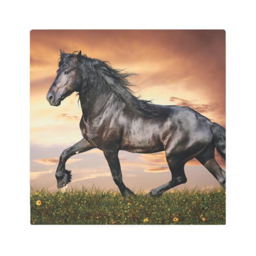 Beautiful Black Horse Metal Print