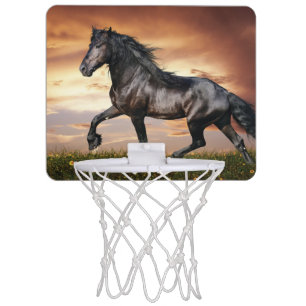 Beautiful Black Horse Mini Basketball Hoop