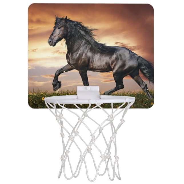Beautiful Black Horse Mini Basketball Hoop (Front)