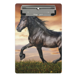 Beautiful Black Horse Mini Clipboard
