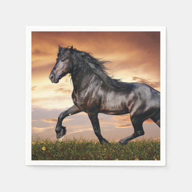 Beautiful Black Horse Napkins (Front)