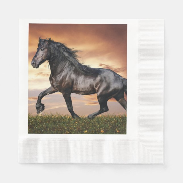Beautiful Black Horse Napkins (Front)